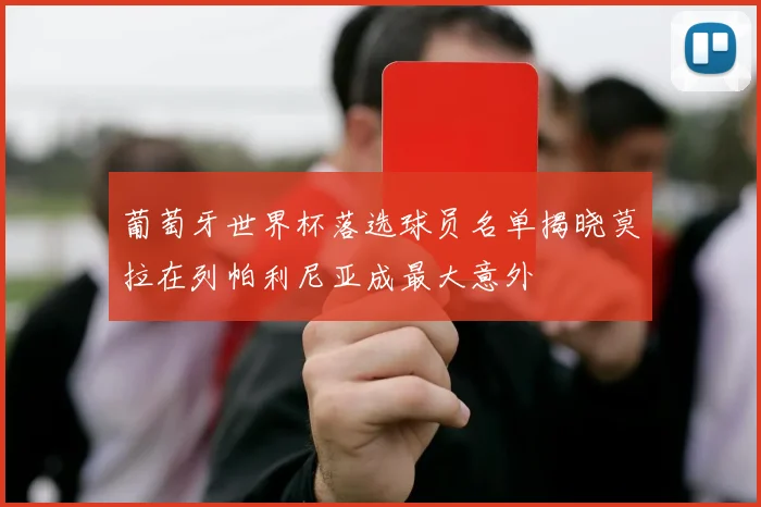 葡萄牙世界杯落选球员名单揭晓莫拉在列帕利尼亚成最大意外
