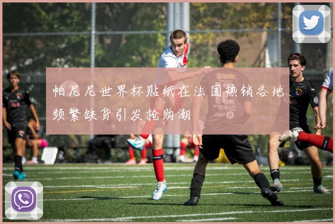 帕尼尼世界杯贴纸在法国热销各地频繁缺货引发抢购潮