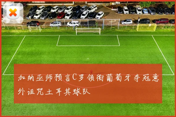 加纳巫师预言C罗领衔葡萄牙夺冠意外诅咒土耳其球队