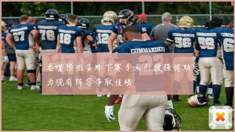名嘴预测黄蜂下赛季或引援强将助力现有阵容争取佳绩